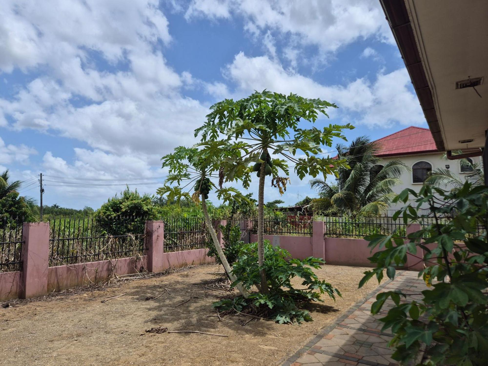 Chander'S Villa Paramaribo Luaran gambar