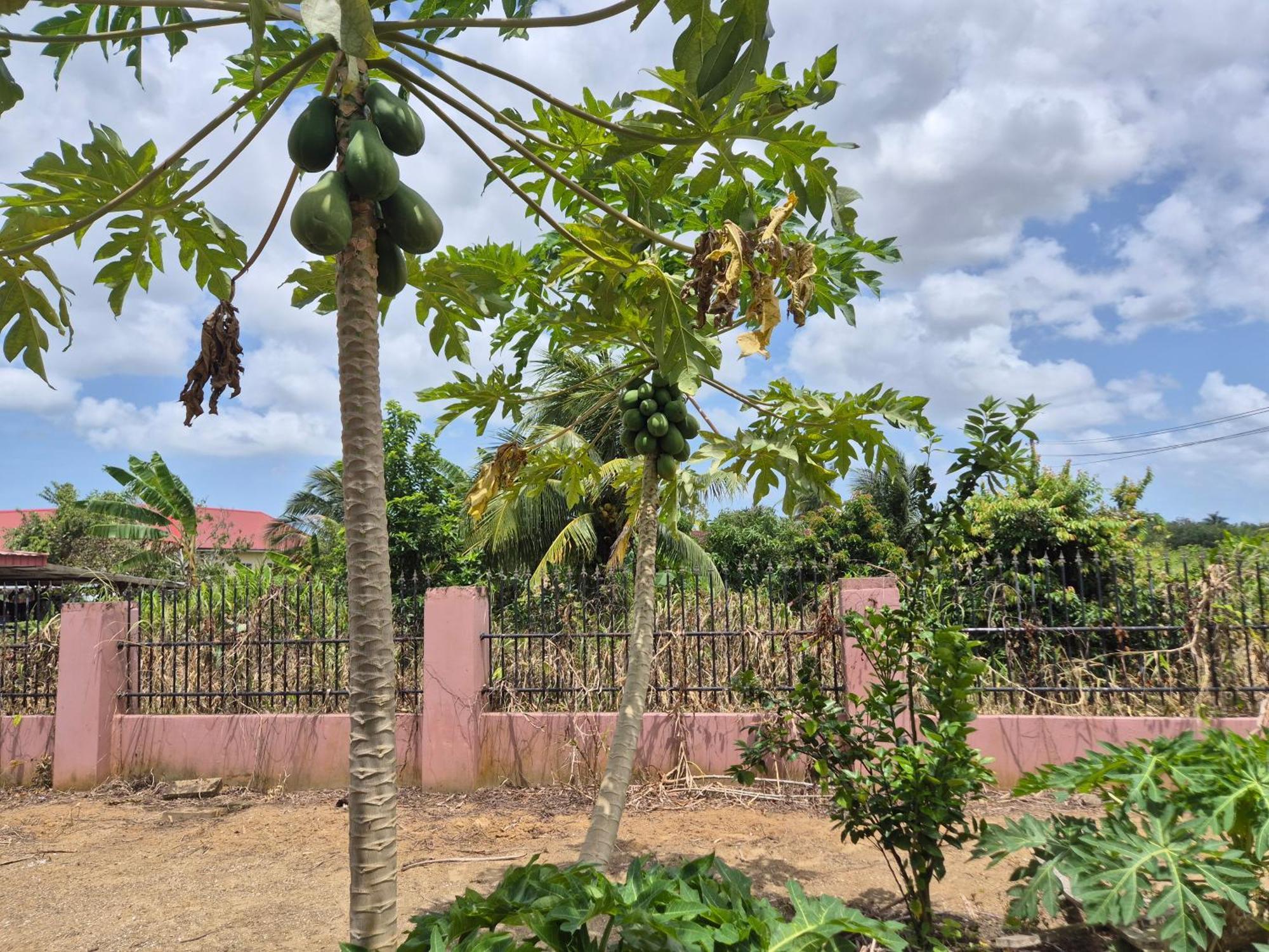 Chander'S Villa Paramaribo Luaran gambar