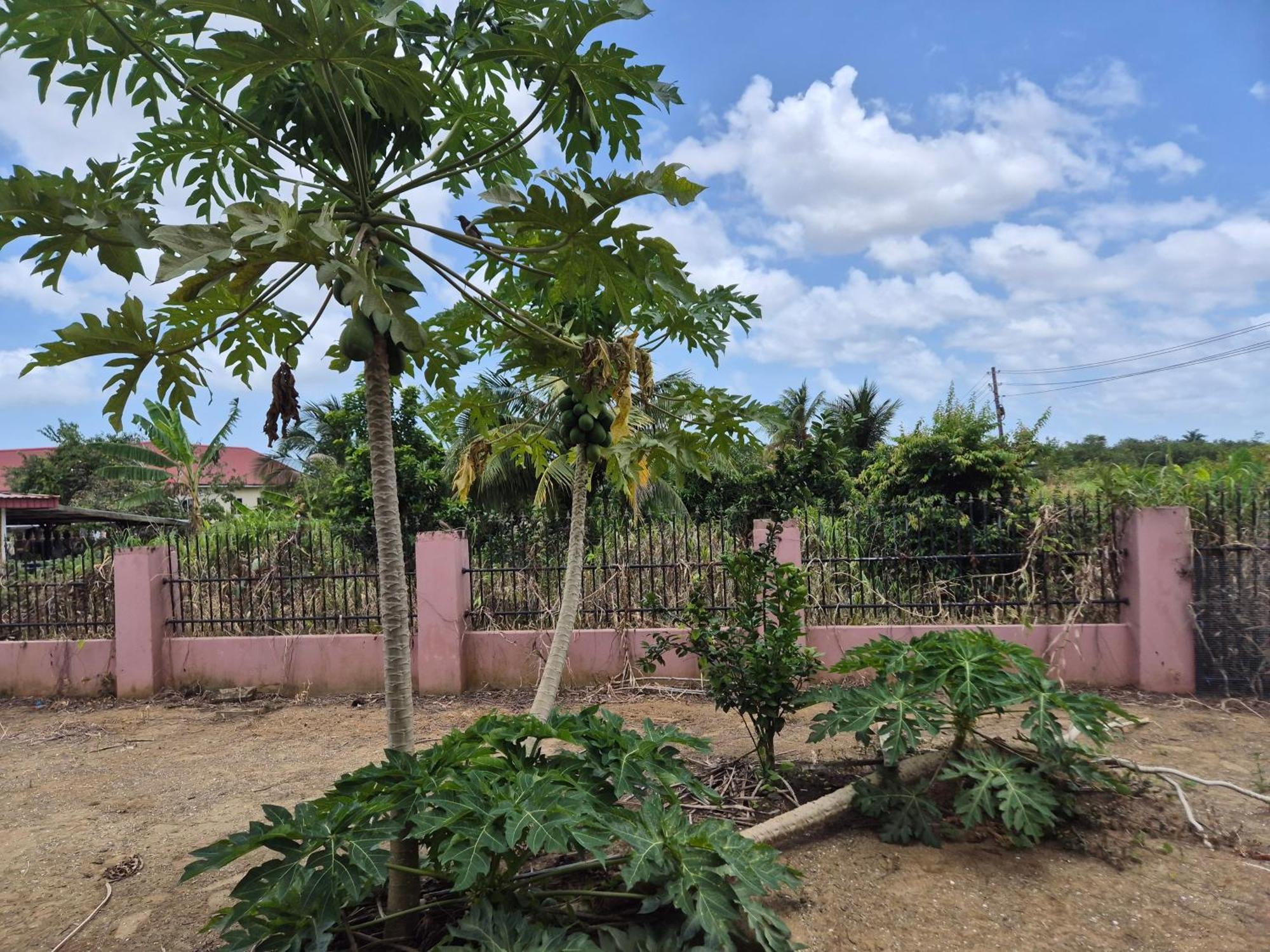 Chander'S Villa Paramaribo Luaran gambar